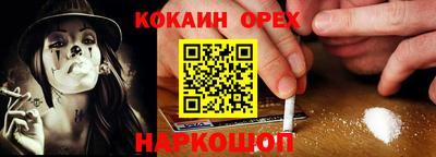 крисы Лесосибирск