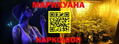крисы Лесосибирск