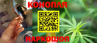 крисы Лесосибирск